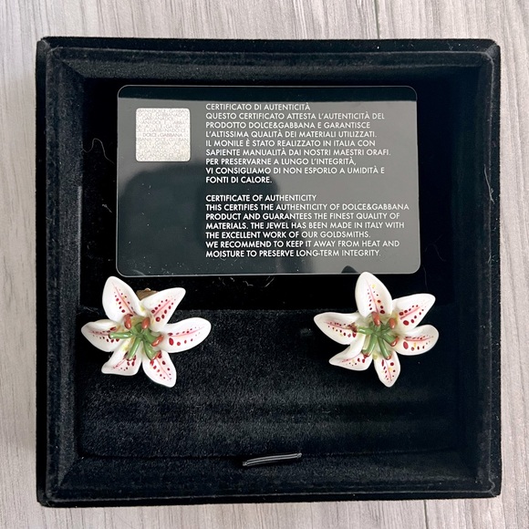 D &G Ear Clips - Picture 2 of 6